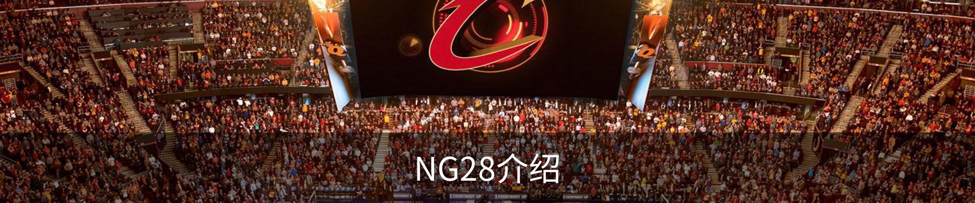 NG28介绍